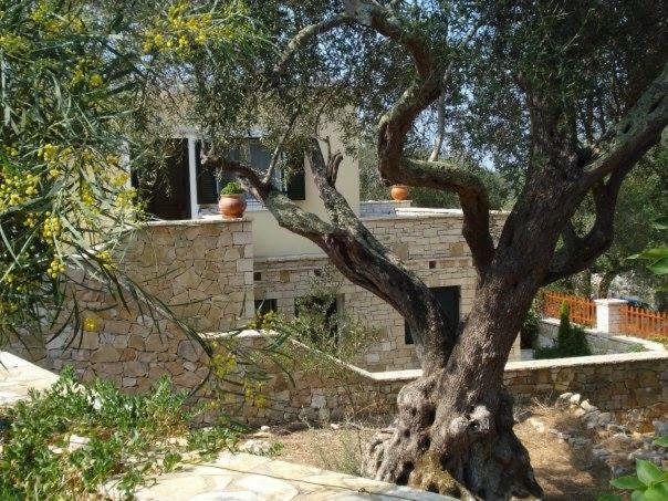 Villa Loulaki Magazia Paxi Arvanitakeika Экстерьер фото